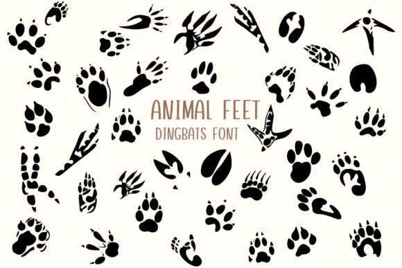 Animal Feet Font: A Playful Path to Creative Design